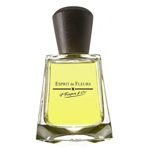 Frapin Esprit de Fleurs for women 100 ml Bayan Tester Parfüm