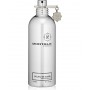 MONTALE Paris Soleıl de capri 100 ml unısex Tester parfüm